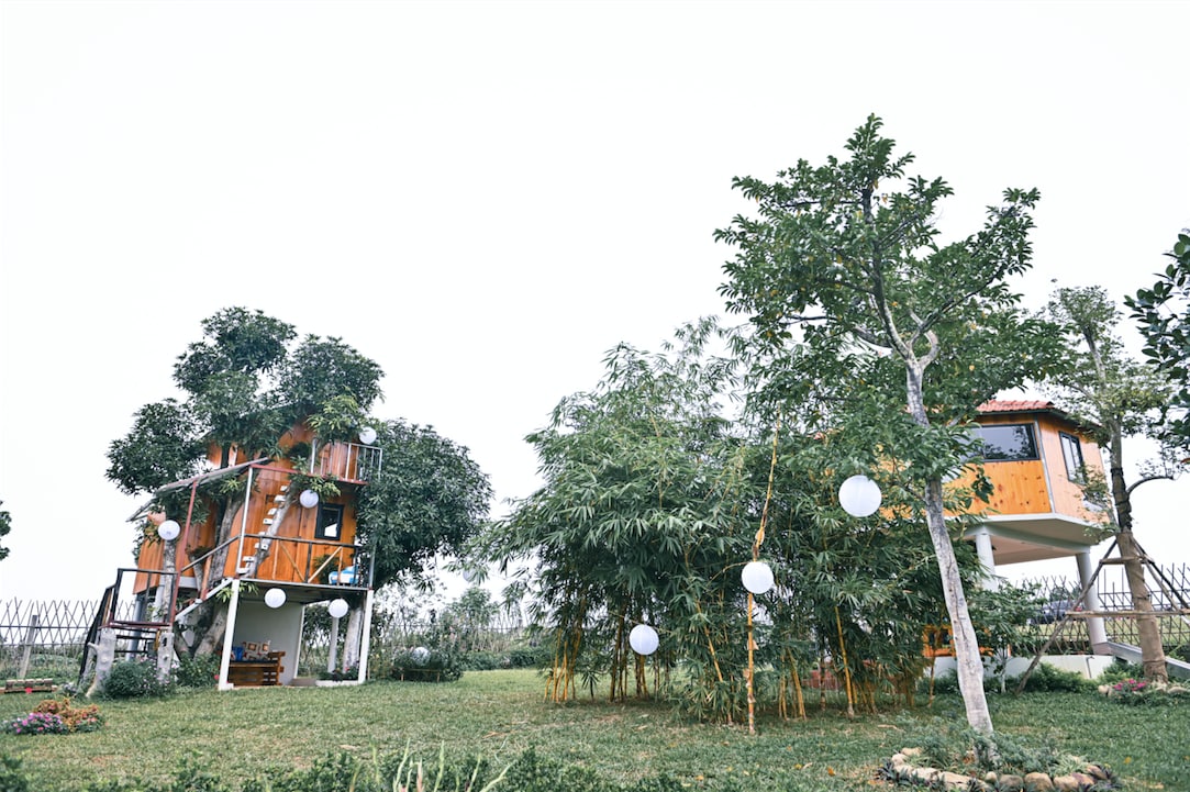Mango - Mango House - Okia Treehouse Ba Vi