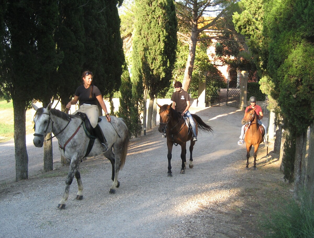 Bilocale in Maremma Toscana