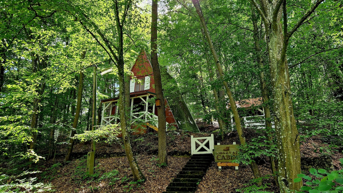 Noszvaj Cabin -森林中的舒适小屋
