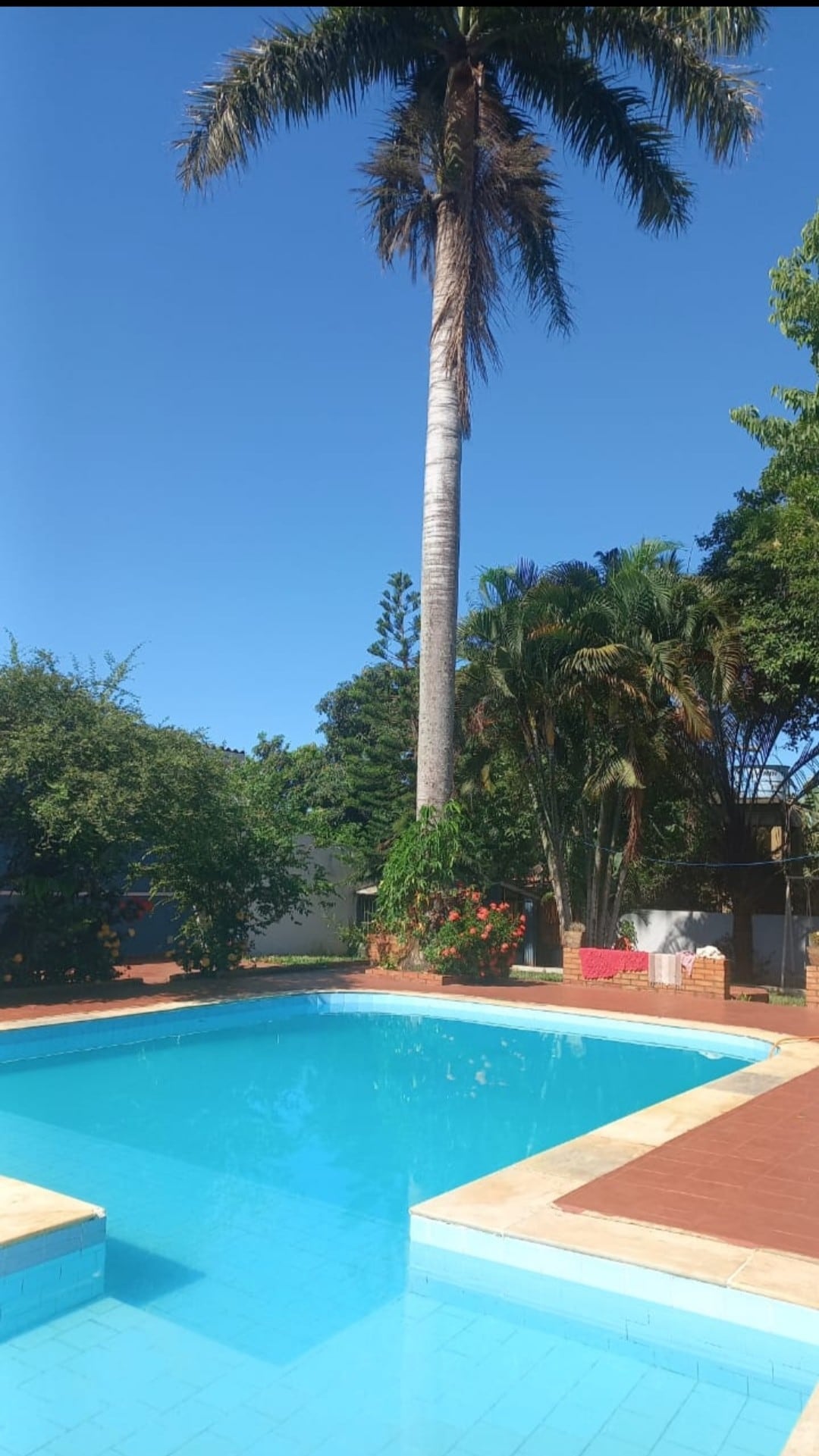 弗兹伊瓜苏（ Foz do Iguacu ）带泳池的房子