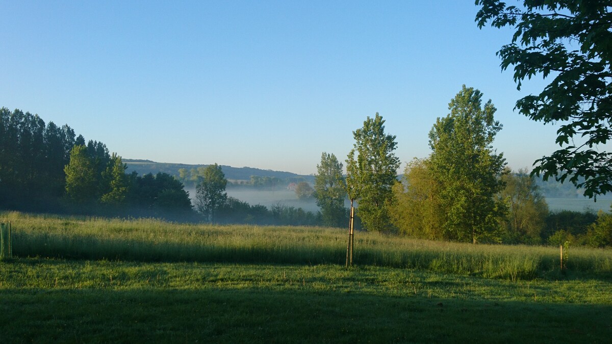 Domaine de Hauterive , gîte en boulonnais