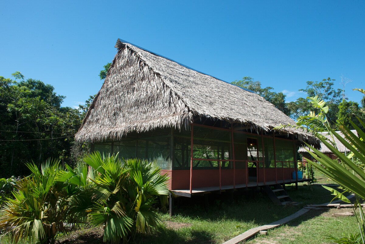 马尼提岛探险之旅生态小屋和丛林之旅