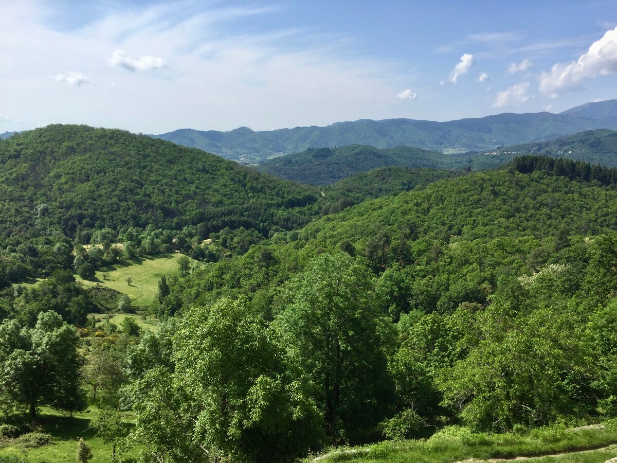 大自然中的乡村小屋，景色迷人，露台