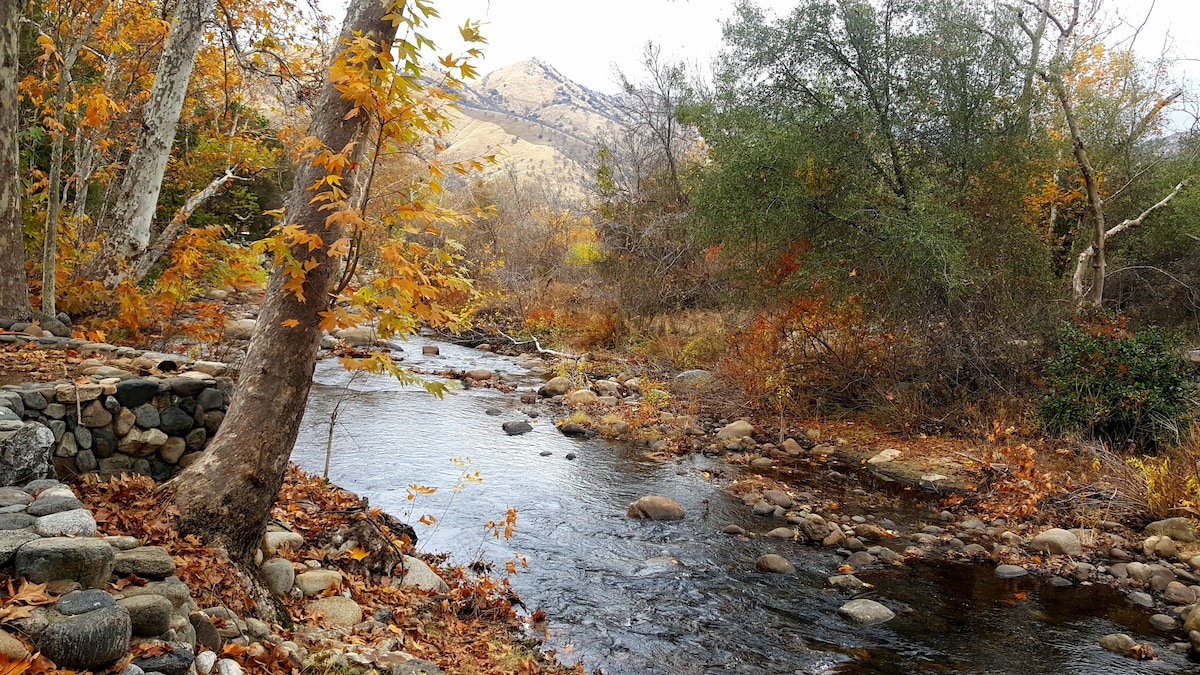 "The Clouds River" Sequoia Paradise "