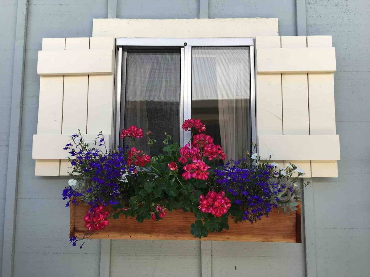 SLO/Historic Downtown District Cottage