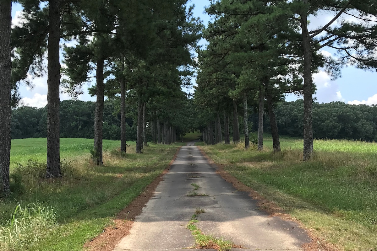 Ridgewood Farm Campsite