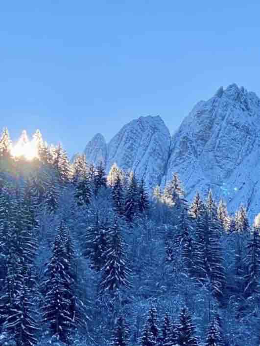 Accogliente bicamere abbracciato dalle Alpi Giulie