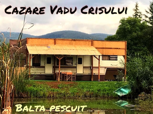 Vadu Crișului的民宿