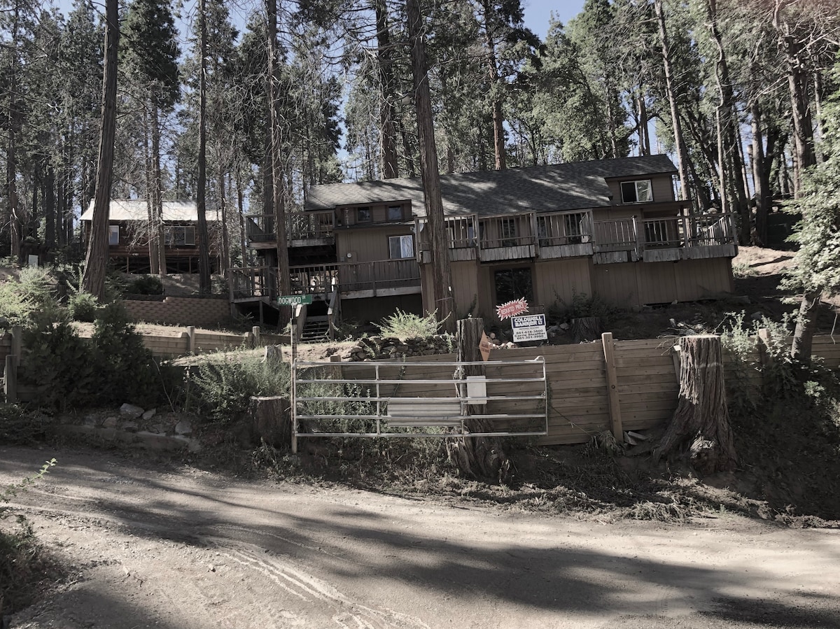 Sequoia National Forrest CabinH