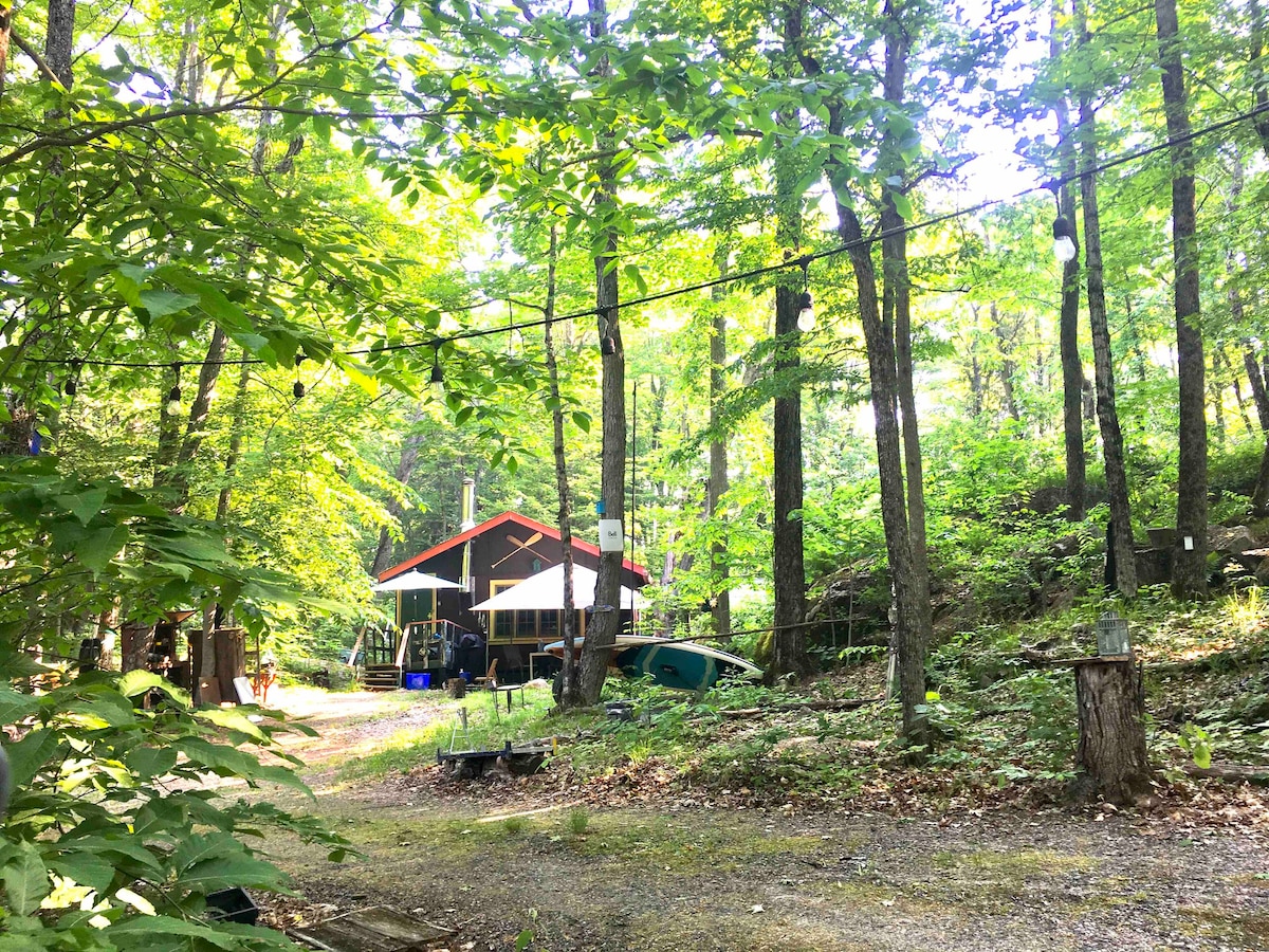 Joe 's Cabin 2