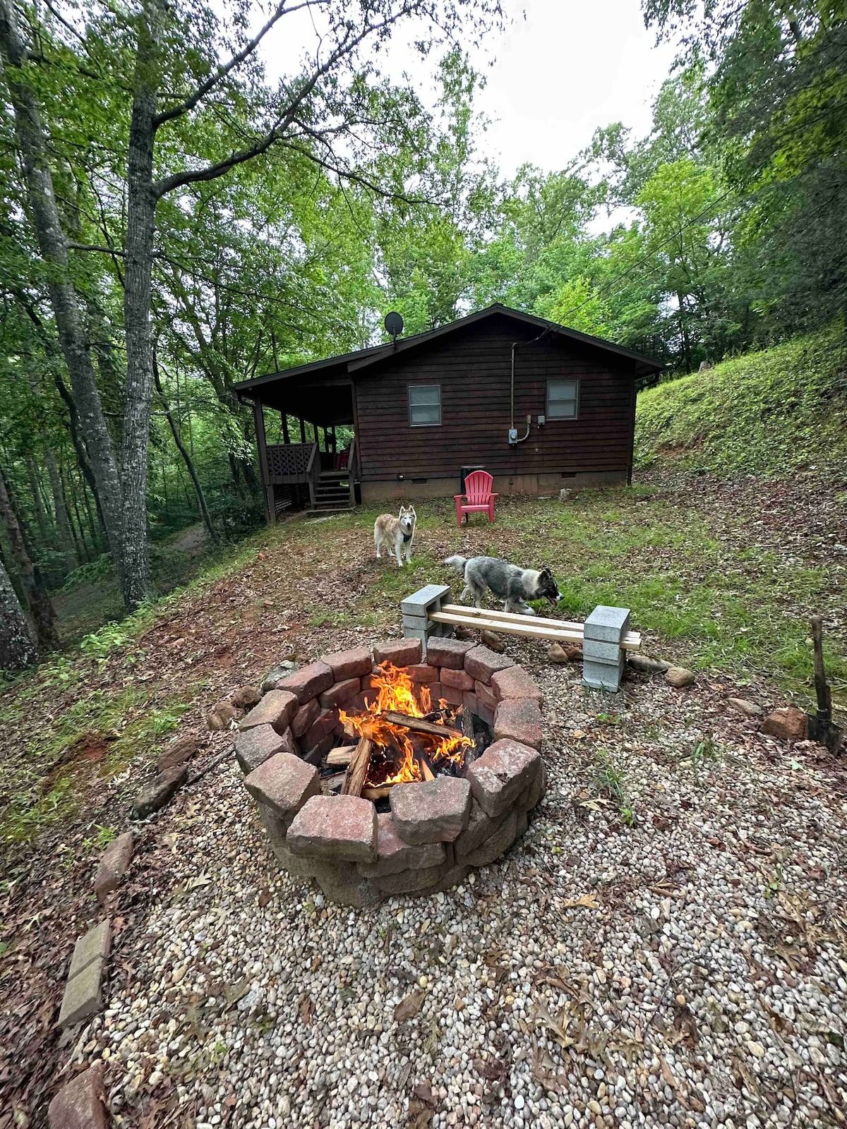 Lazy Bear Lodge with fire pit in the Smoky's!