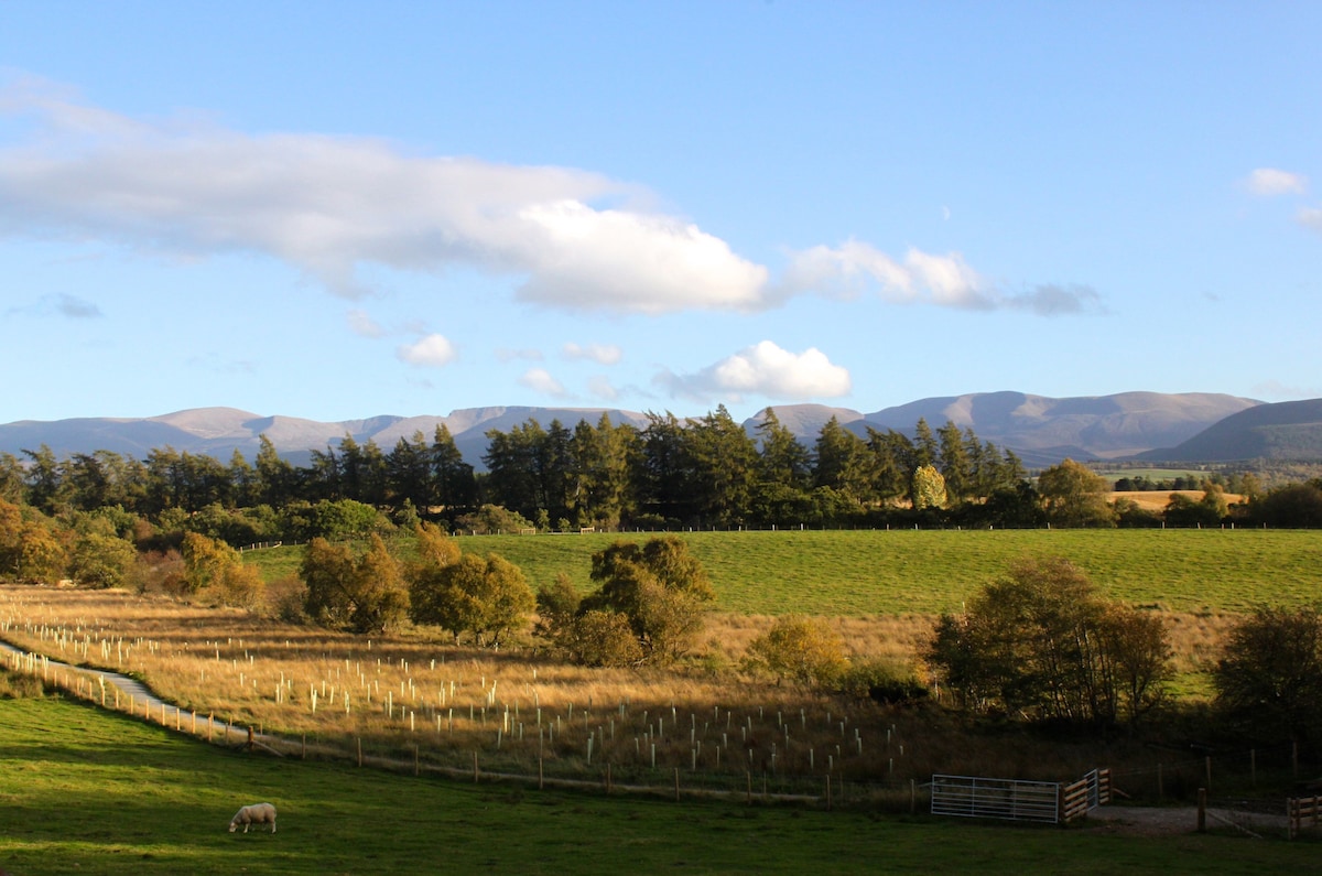 白莓小屋， Aviemore