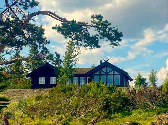 Sør-Aurdal的民宿