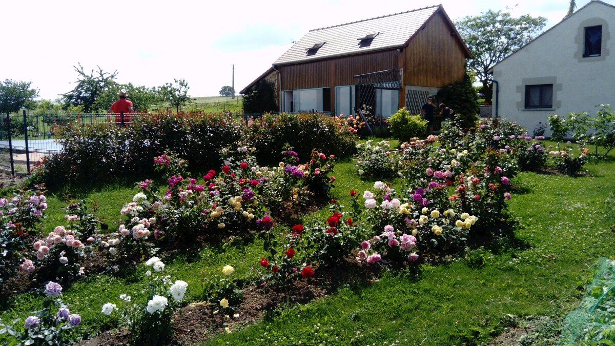 带泳池的宁静乡村小屋