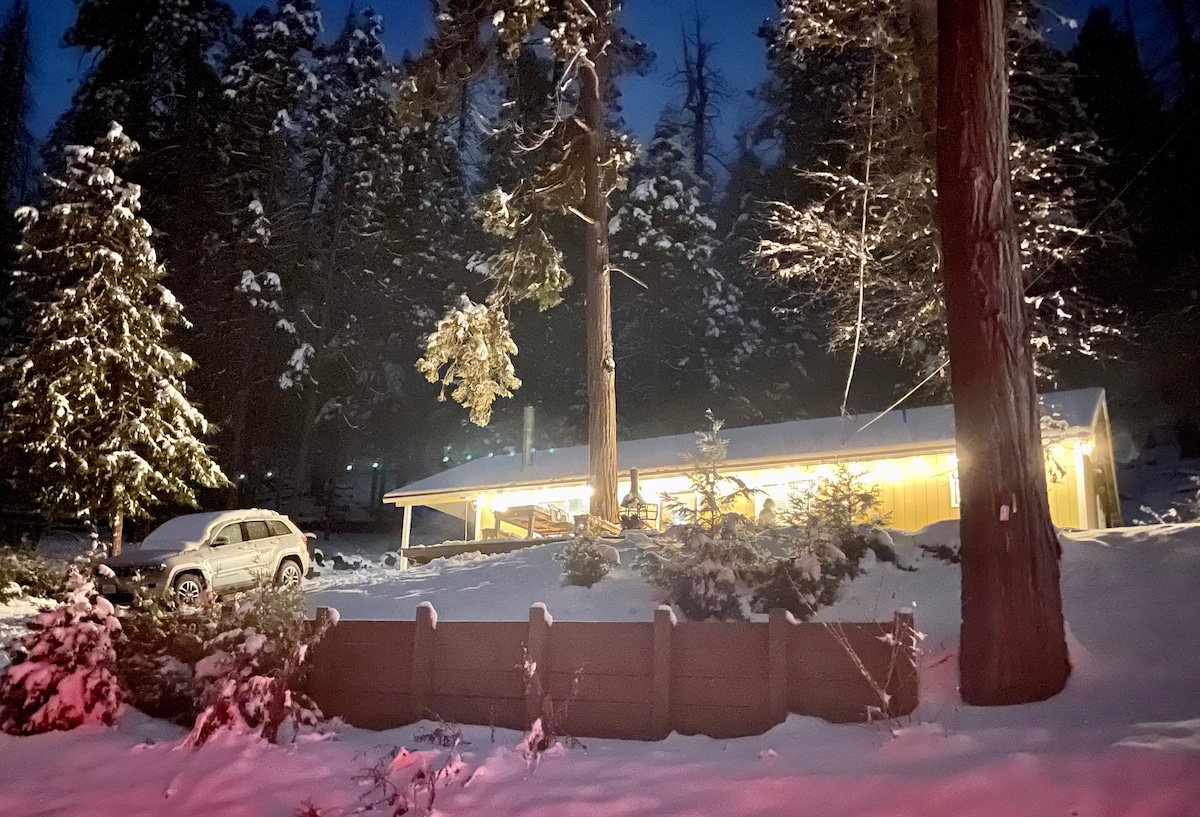 Sequoia National Forest Cabin M