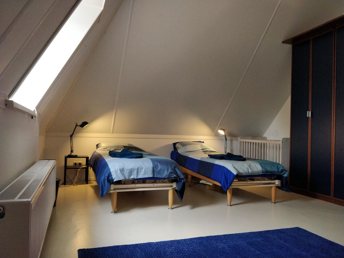 Spacious attic room in mansion on a stylish canal