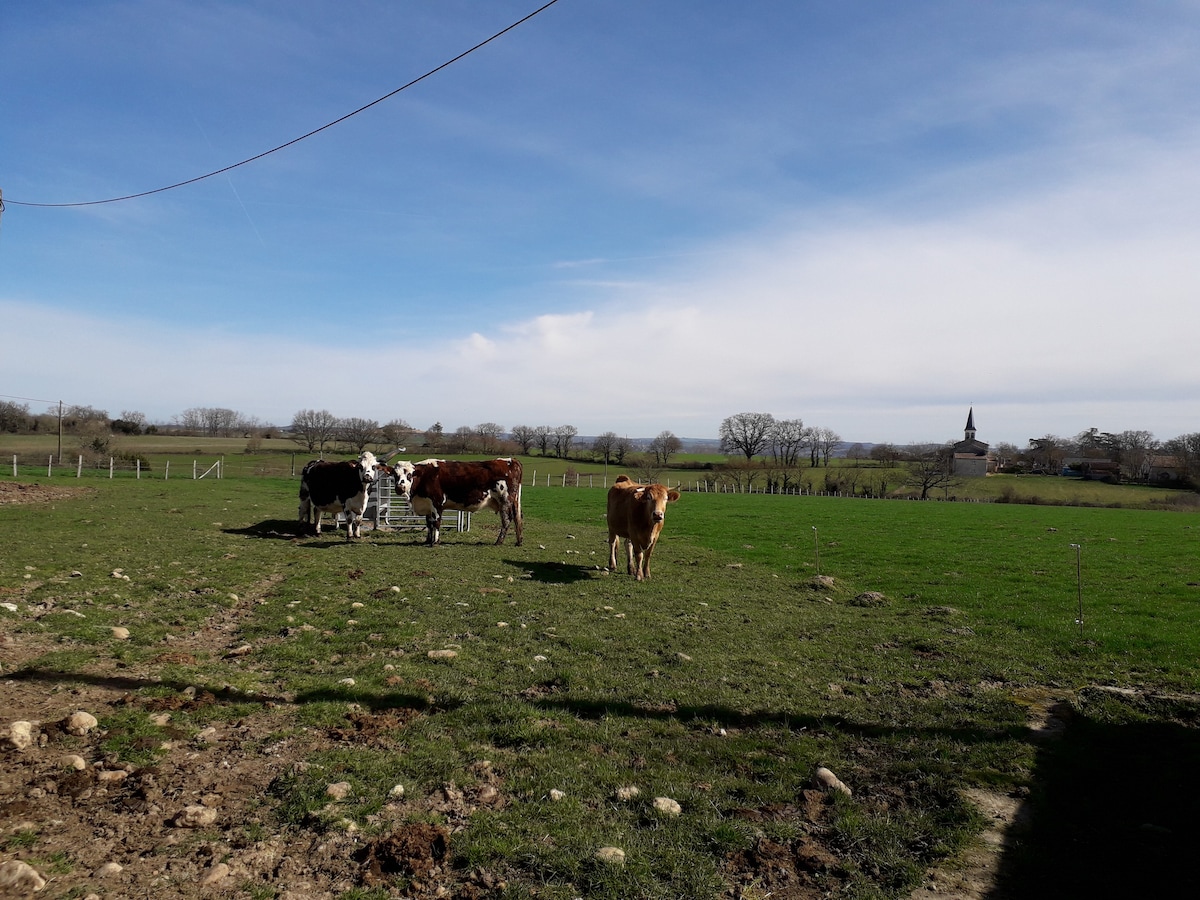 Gîte à la ferme de Mimi & Lulu