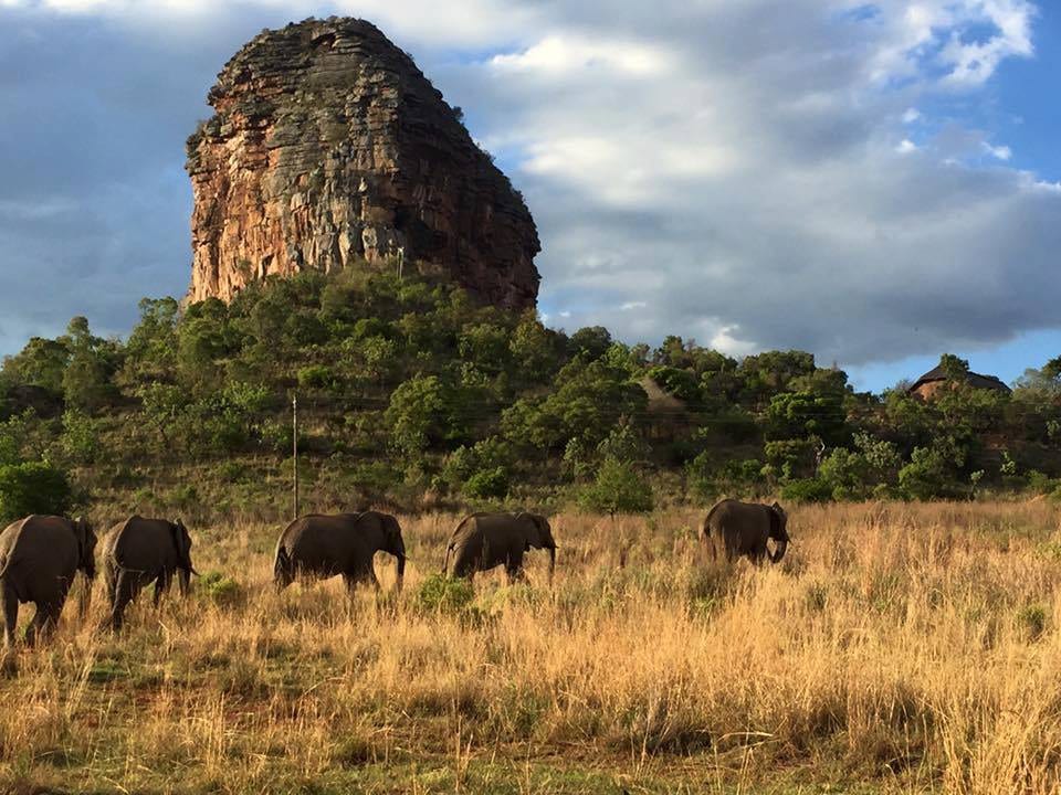 Entabeni Mountain Lodges