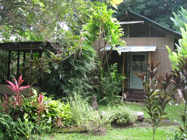 坐落在雨林中的芒果树小屋