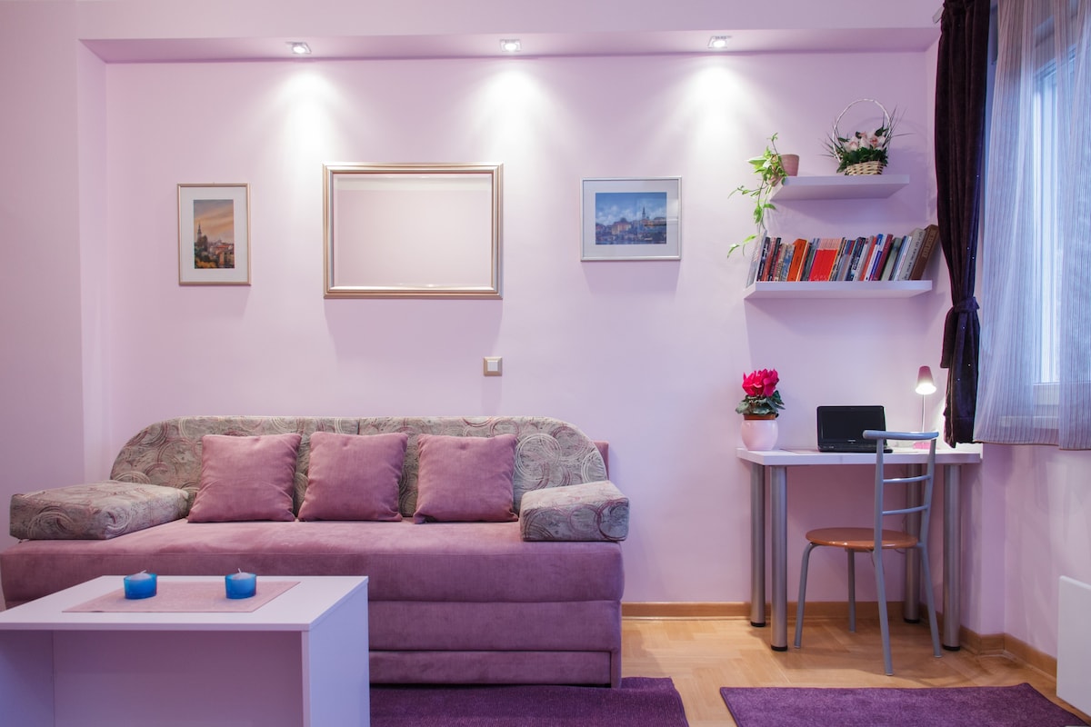 舒适-市中心可爱的紫罗兰色单间公寓