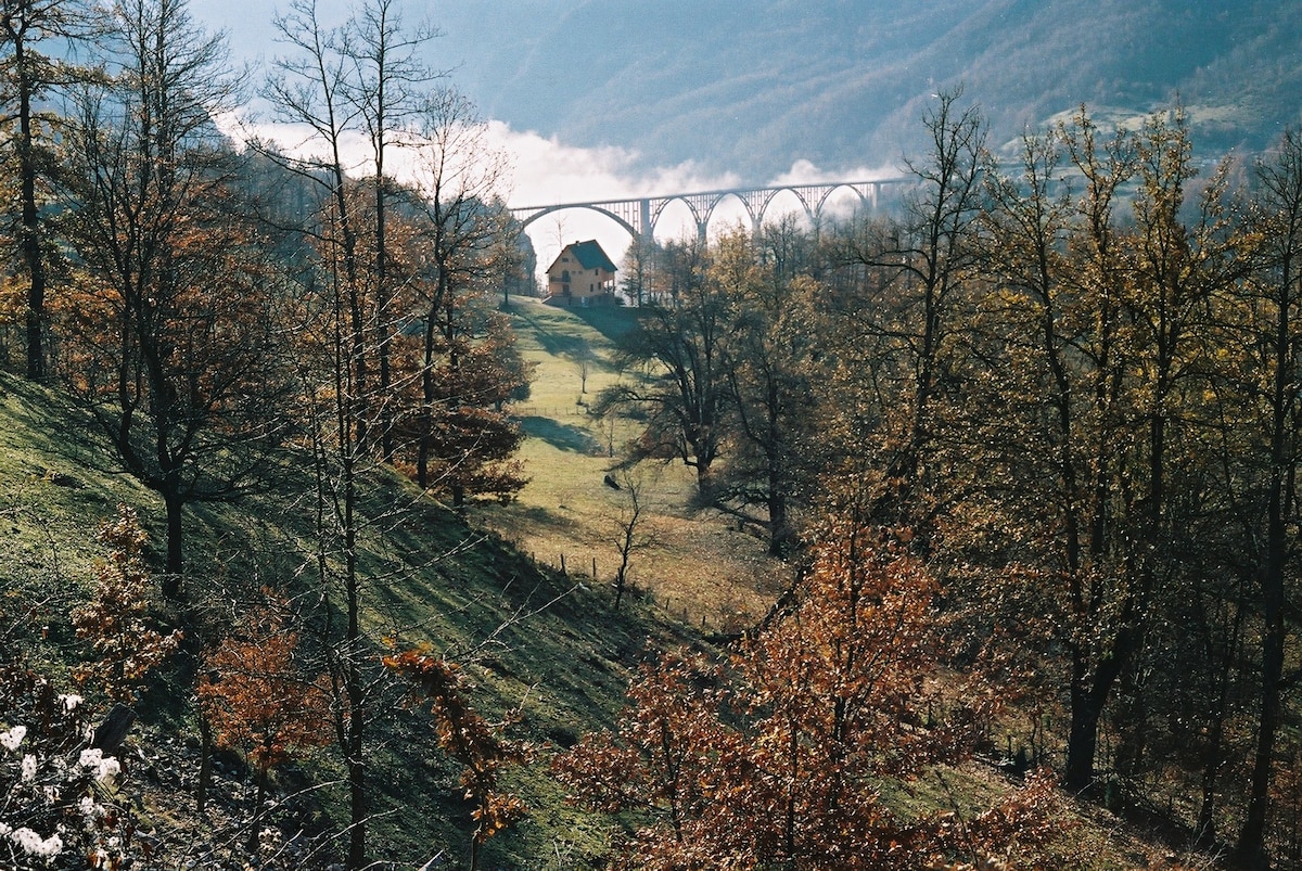 塔拉峡谷旅馆（ Guest House Tara Canyon ）