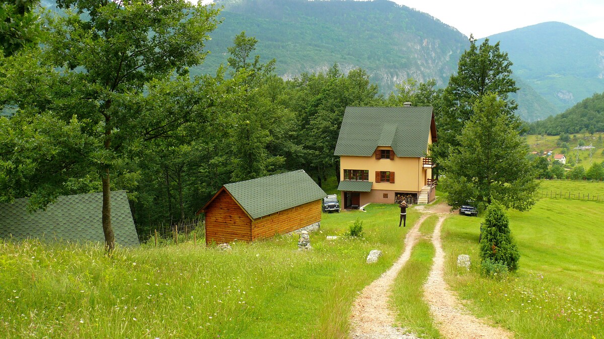 塔拉峡谷旅馆（ Guest House Tara Canyon ）