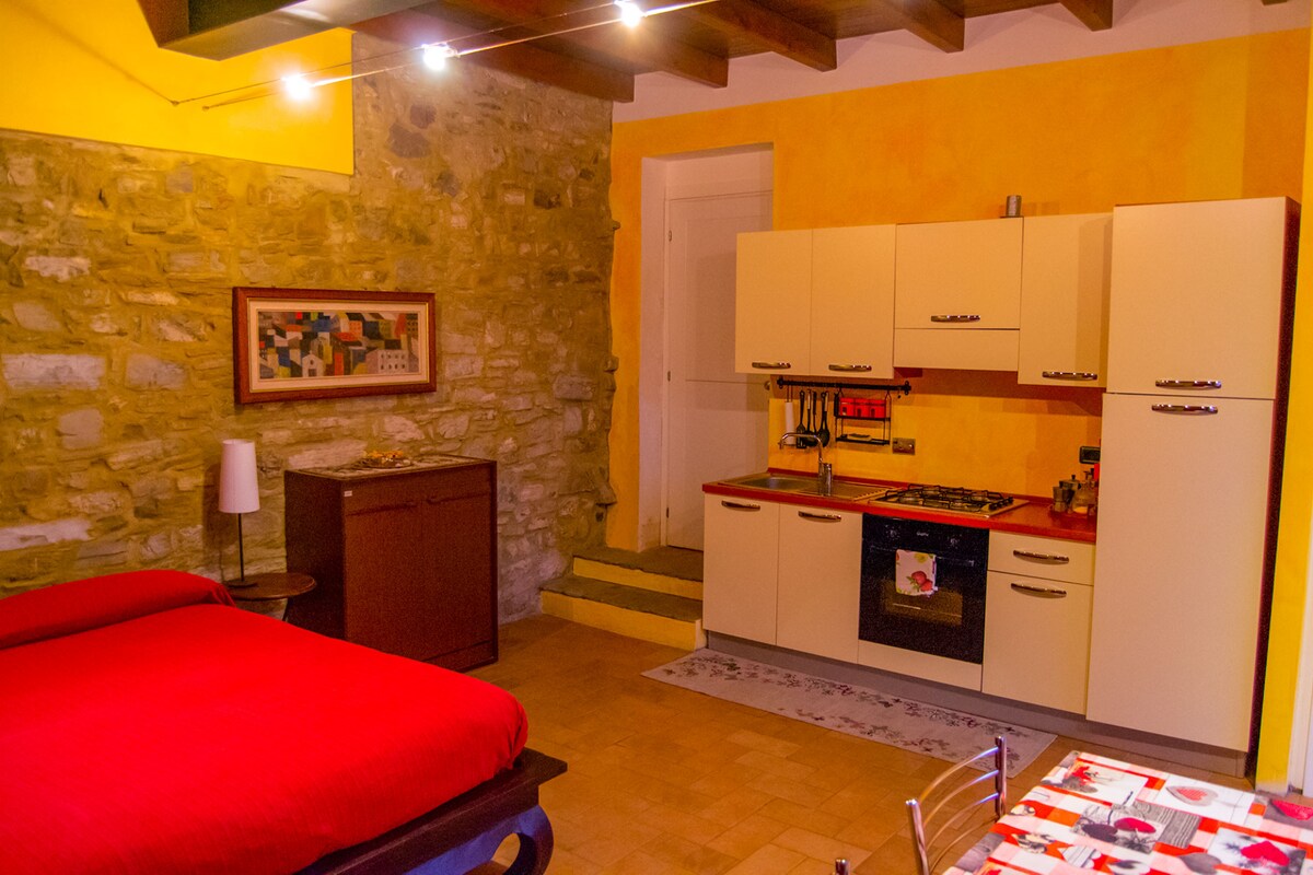 L'Angolo di Verlano -带厨房I Girasoli的公寓