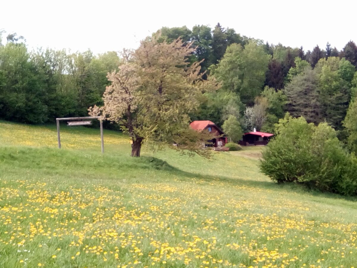 Wagner 's Ranch ，位于绝对偏僻位置的木屋