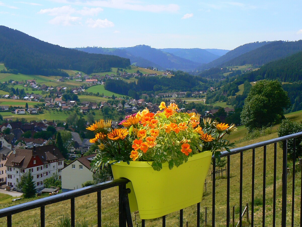 FeWo mit einzigartige Aussicht über Baiersbronn