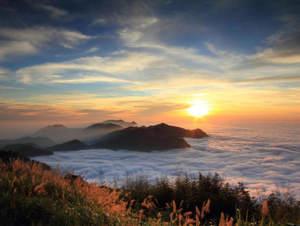 阿里山初日/花園主題雙人房/看日出雲海導覽/貓咪樂園/秘境/隙頂二延平步道/DIY多肉盆栽