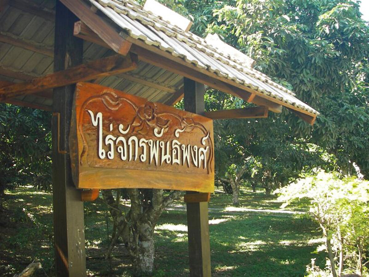 The Lychee Orchard - Jakkaphanpong