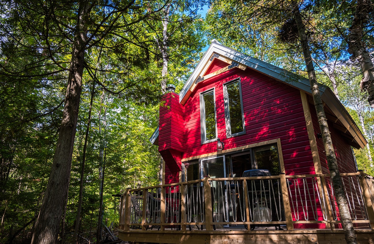 森林中的自然景观、生态小屋