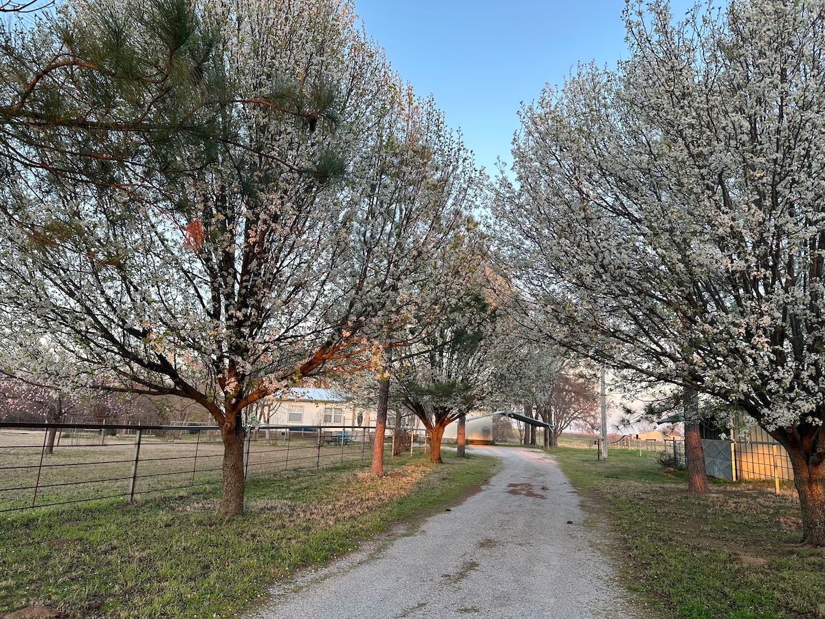 Raven’s Nest by Lake Murray, private on 18 acres