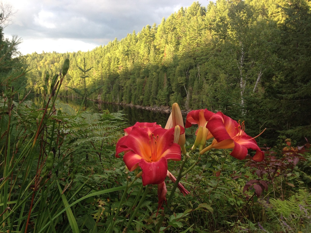 Le Solitaire (Mauricie National Park)