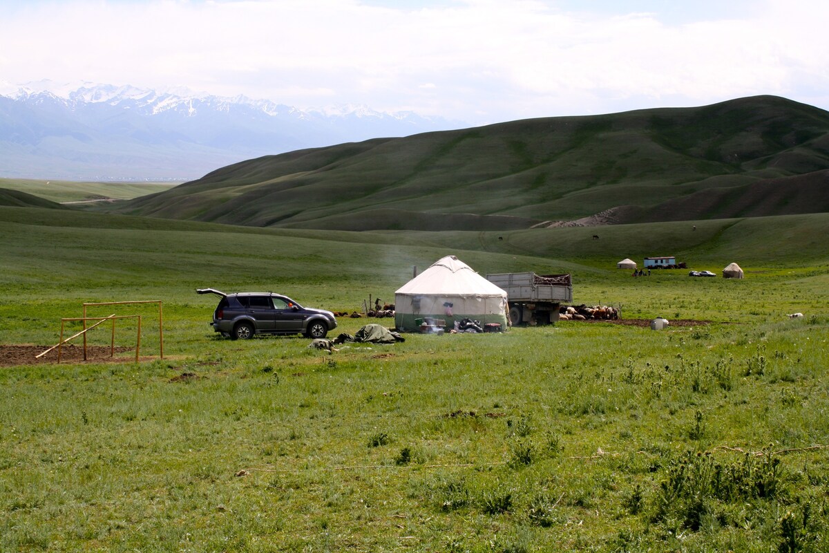 正宗游牧蒙古包营地