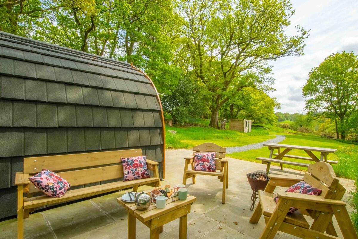 Betws y Coed Snowdonia的豪华露营Conwy Pod