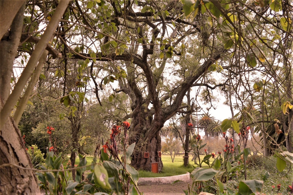 Hacienda Nagsiche - Mulalillo Pueblito住宿