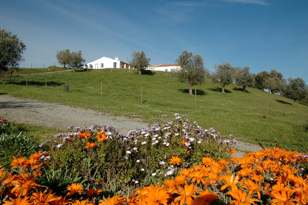 Monte do Telheiro