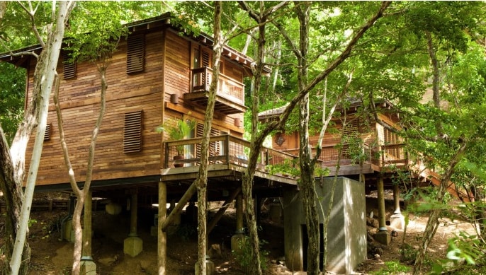 Orquedia An Adult Luxury Treehouse