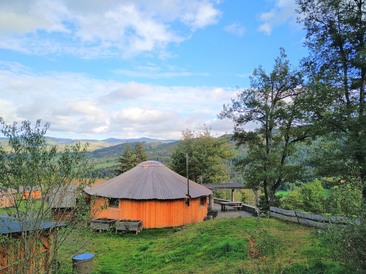 hutte en bois au milieu de la nature