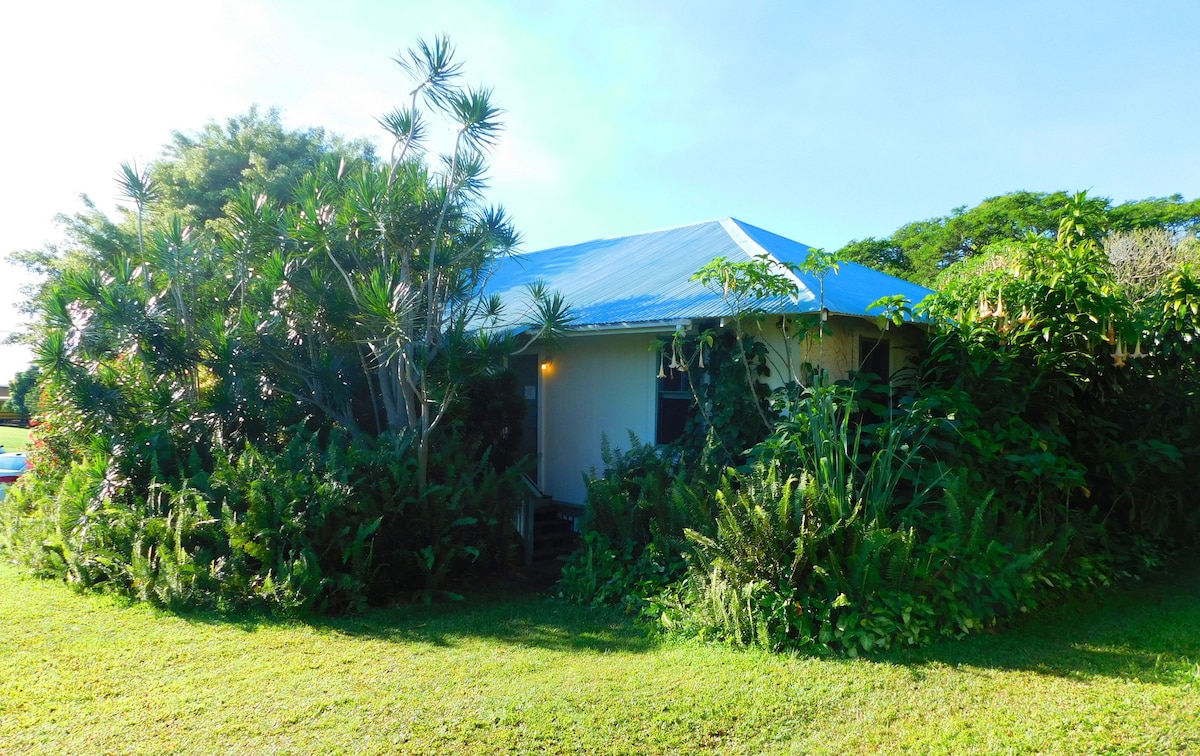 Ohia Mauka ，修复的种植园房屋