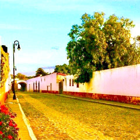La Casa de La Vaca ， Nopala De Villagrán。