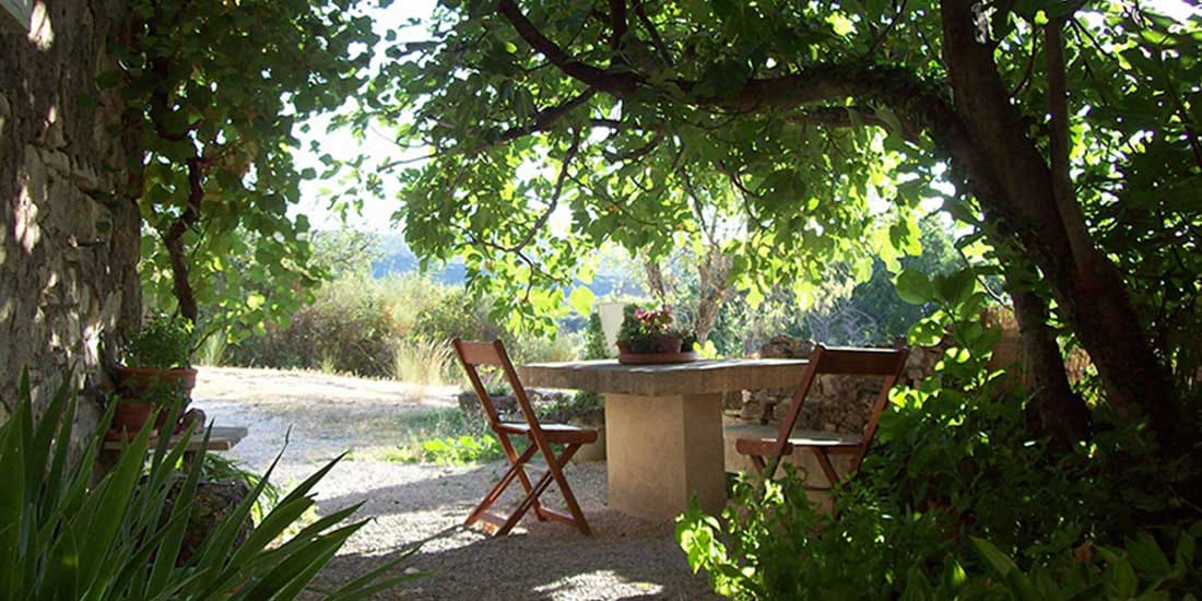 "Sous le Figuier" Location de charme en Luberon