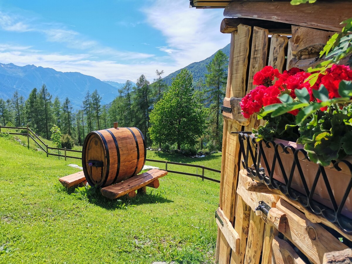 "Carnale cabin", Montagna in Valtellina