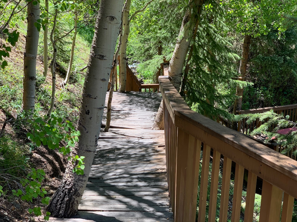 (Alpine Loop access) Remote Silverton Cabin