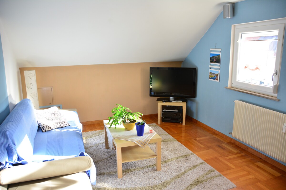 COSY DG-Apartment - Metzingen Nord