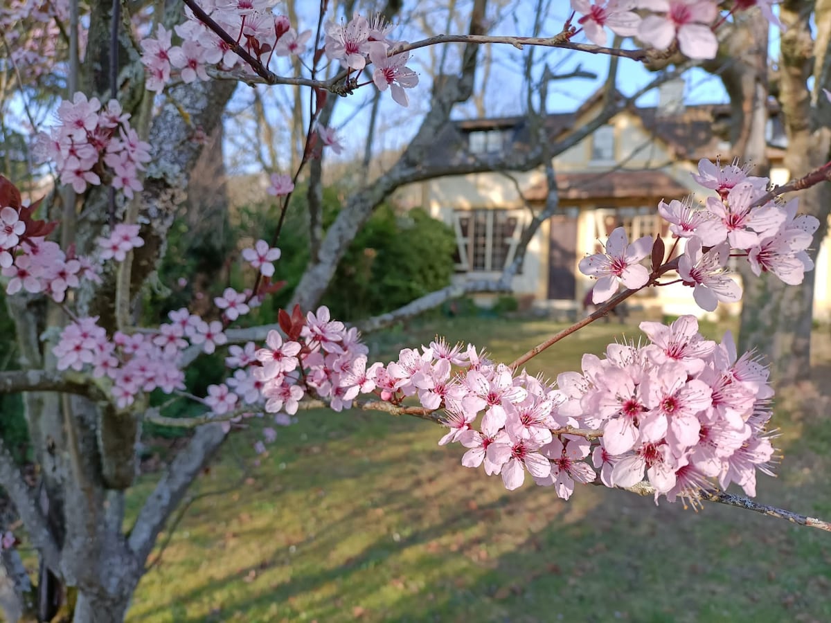 Maison coeur村Giverny （距离莫奈博物馆500米）