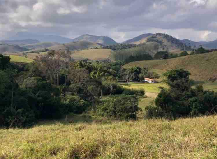 Vivenda dos Guaranys _loft:Uma imersão na natureza