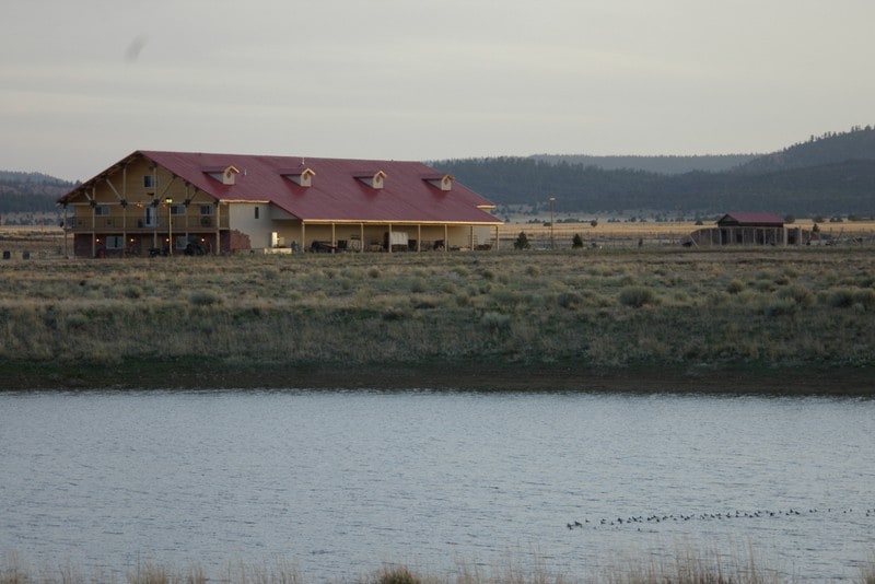 Bryce Wildlife Adventure