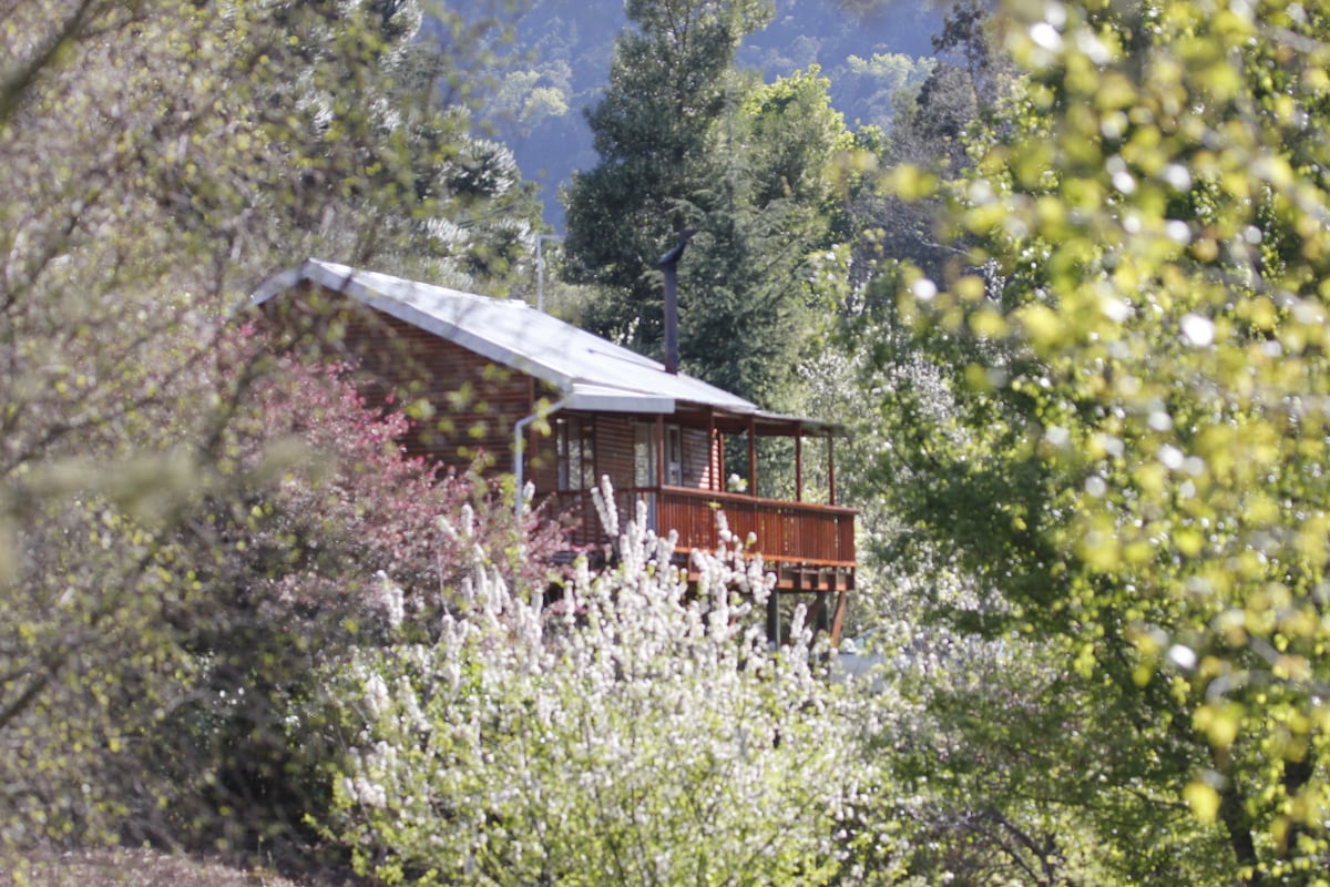 Nibelheim自助餐饮小屋